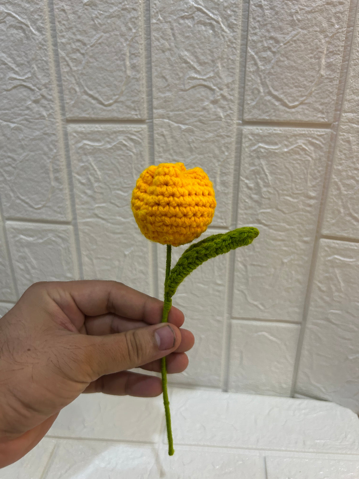 Yellow Tulip