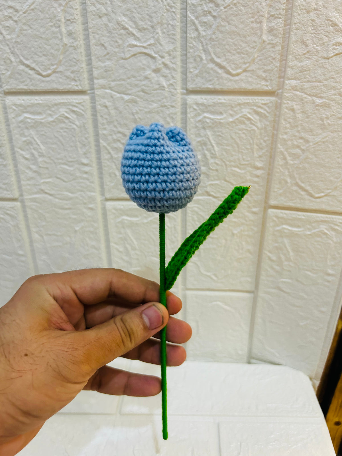 Blue Tulip