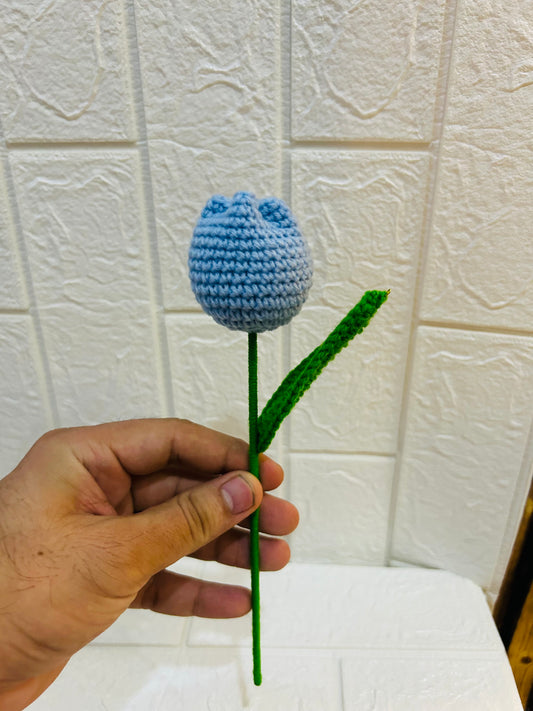 Blue Tulip