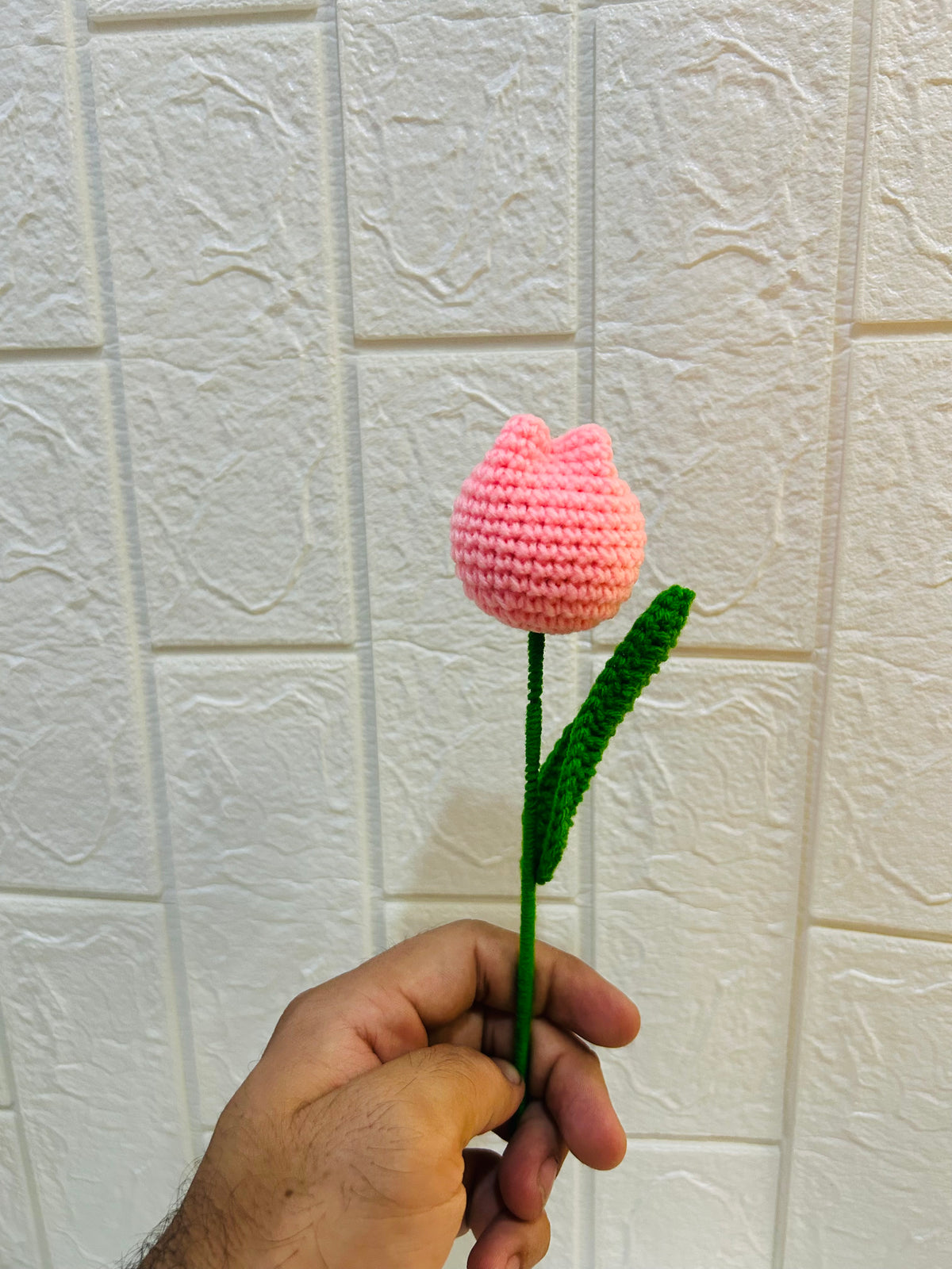 Pink Tulip