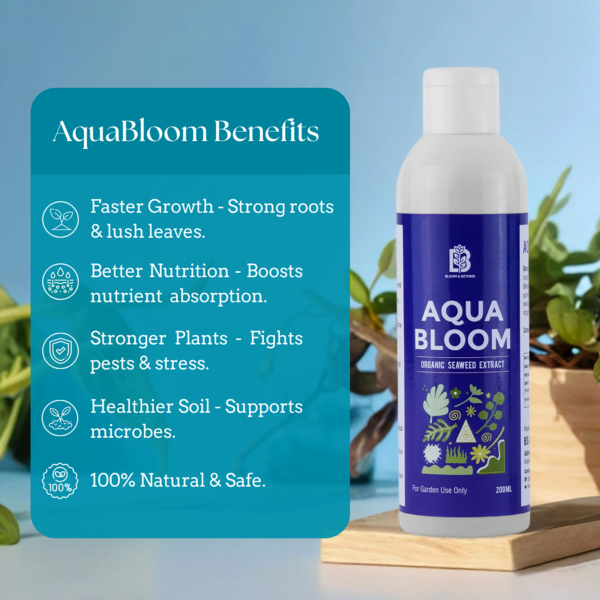 Aqua Bloom - 200ML - Image 2