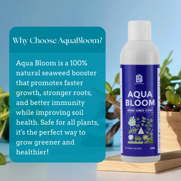 Aqua Bloom - 200ML - Image 4